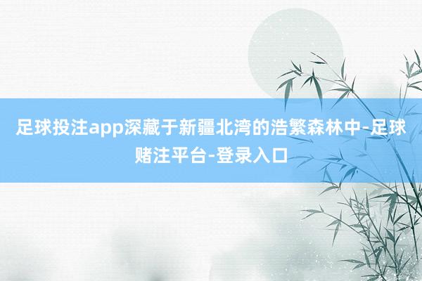 足球投注app深藏于新疆北湾的浩繁森林中-足球赌注平台-登录入口